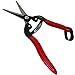 TABOR TOOLS Pruning Shears, Florist Scissors, Multi-Tasking Garden Snips for Arranging Flowers, Trimming Plants and Harvesting Herbs, Fruits or Vegetables. K7A. (Straight, Carbon Steel Blades) thumb 2
