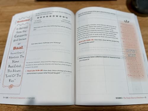 Luke Bible Study Guide plus Streaming Video: Gut-Level Compassion (Beautiful Word Bible Studies)