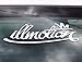 iJDMTOY (2 JDM illmotion Motion Nation Graffiti Style Car Window Bumper Vinyl Decal Stickers