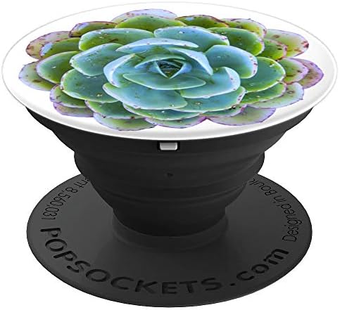 Echeveria Succulent Phone Handle or Stand - PopSockets Grip and Stand for Phones and Tablets