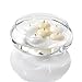 Eastland Floating Candle Dish Garden 8