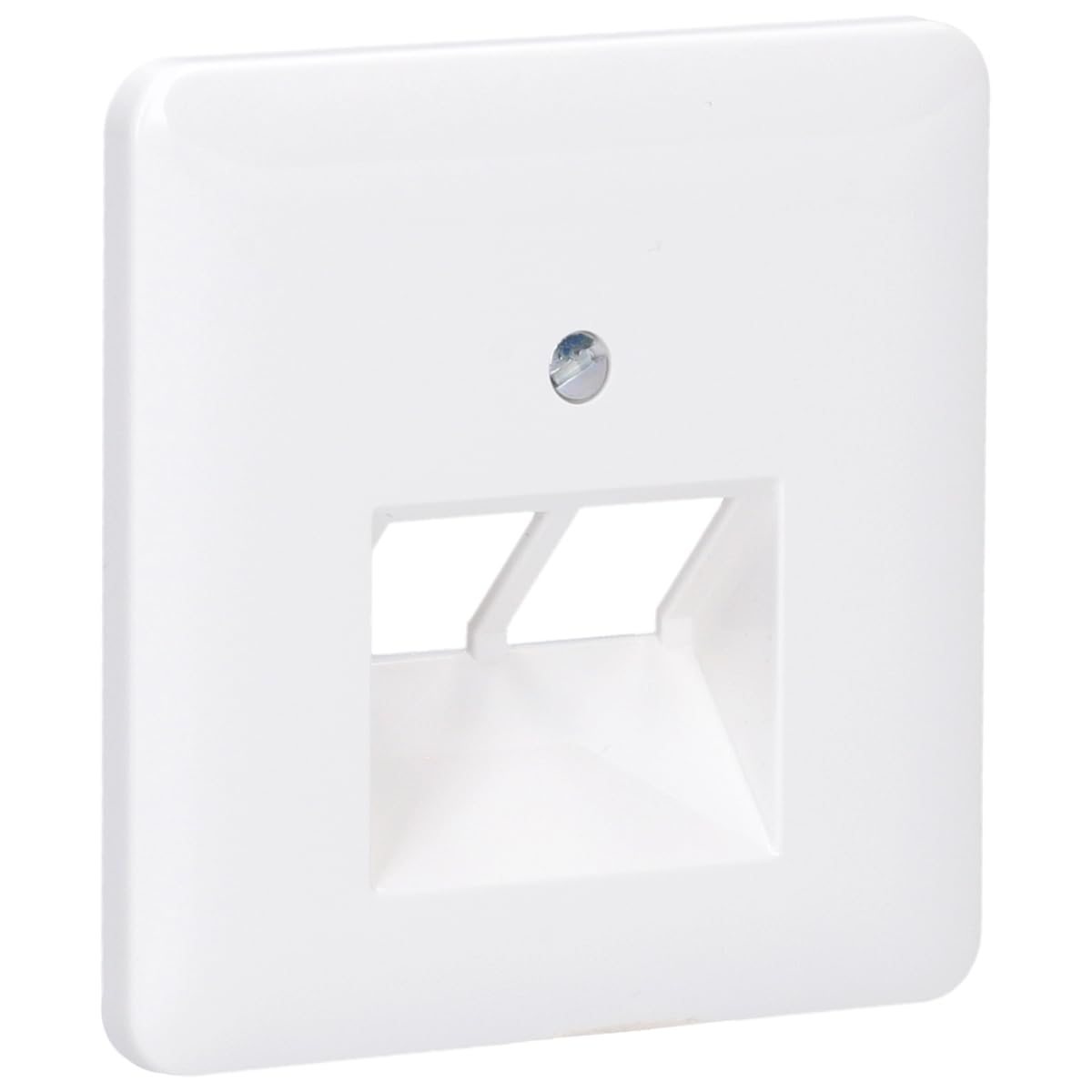 Jung CD569 2UAWW Abdeckung für IAE/UAE Wall Socket