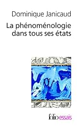 La  phénoménologie dans tous ses états