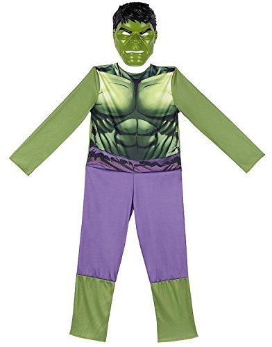 Avengers The Hulk Animated Full Dress Up Costume