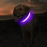 MASBRILL Light Up Dog Collar Purple S USB Rechargeable Waterproof 3 Modes view 2