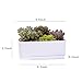 White Ceramic Rectangular Flower Pot,6.5 inch Modern Minimalist White Ceramic Succulent Planter Pot/Container with Ceramic Tray