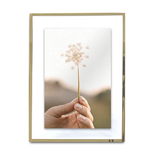 MIMOSA MOMENTS Gold Metal Floating Pressed Glass Picture Frame with