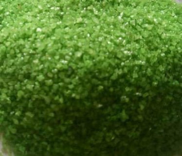 Generic Green Colored Sand 1Kg for Aquarium Vase Filler, Garden Decor Plant Home Decor