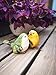 Bird Animal Garden Statues Figurine Funny Garden D¨¦cor Outdoor Sculpture Resin Lawn Ornaments Decor - Best Indoor Outdoor Decorations for Patio Yard Office and House