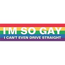 Funny "I'm So Gay" Car Bumper Sticker - 6 Inch Vinyl Decal For Pranks & Pride
