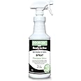 Odorcide Odor Eliminator Spray: Odor Eliminator for Strong Odor on Carpets, Hardwood & More - Smoke, Sweat & Pet Odor Eliminator for Home w/ Non-Enzymatic Formula, 32 Oz (Fresh Scent)