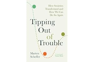 Tipping Out of Trouble: How Societies Transformed and How We Can Do So Again