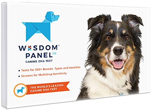 Wisdom Panel 3.0 Breed Identification Dog DNA Test Kit
