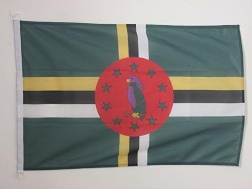 AZ FLAG, Dominica Flag, 2x3 Ft, For Outdoor, Dominican Banner Knitted Polyester with Two Plastic Rings, Fade Resistant