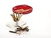 Lekue 0210600R01M017 Sticks Silicone Baking Mold, Red