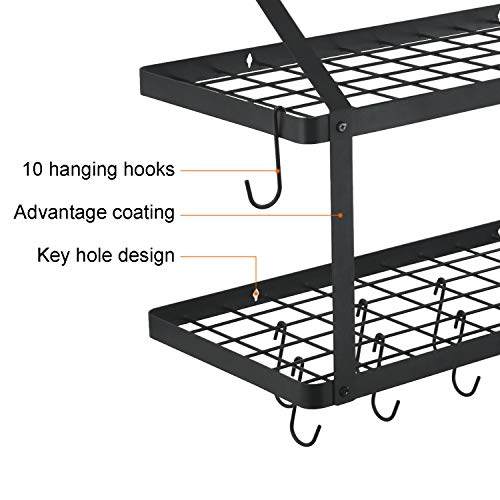 HomeLifairy Wall Mounted Double Pot Shelf Rack Pan With 10 Pot And Pan Hanging Hooks For Home Kitchen,Restaurant