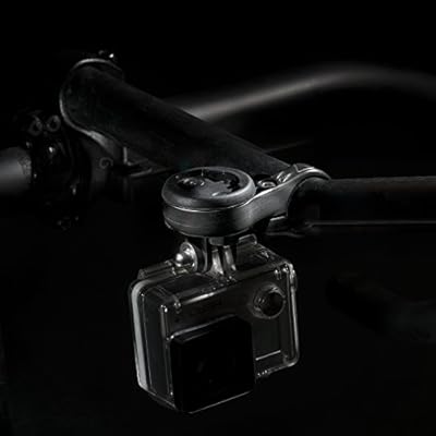 barfly tt mount