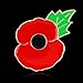 Tiny Susie Remembrance Day Poppy Pin Badge Enamel Brooch