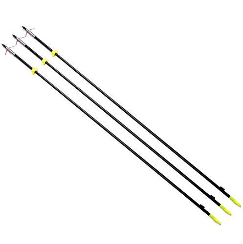 image for RuiXunTe 35'' Fishing Arrows Archery Hunting Arrows for Compound & Rec