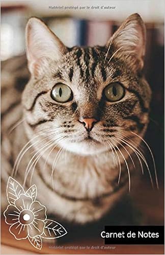 Chat Silhouette At Getdrawingscom Free For Personal Use