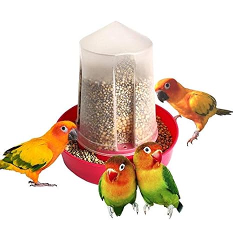 Easy Feed Bird Feeder For 5 To 6 Birds 500 Gm Capacity Set Of 2