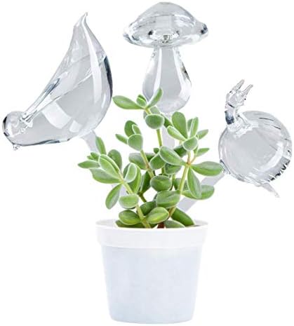 CLEVER BEAR Self Watering Globes 3 Pcs Cute Glass Snail Shape,Bird Shape,Mushroom Shape Indoor Outdoor Automatic DIY Flowerpot Device Household Watering Tool