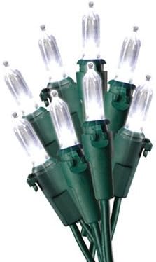 HW 100CT CW LED LGT Set (Pack of 10) by Holiday Wonderland