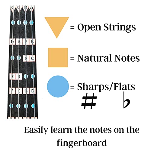 Fantastic Finger Guide for Violas Stringed Musical Instruments