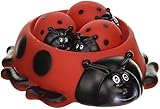 D&D Distributing Ladybug Bath Family