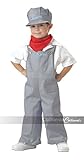 California Costumes Amtrak Train Engineer Costume, 3-4