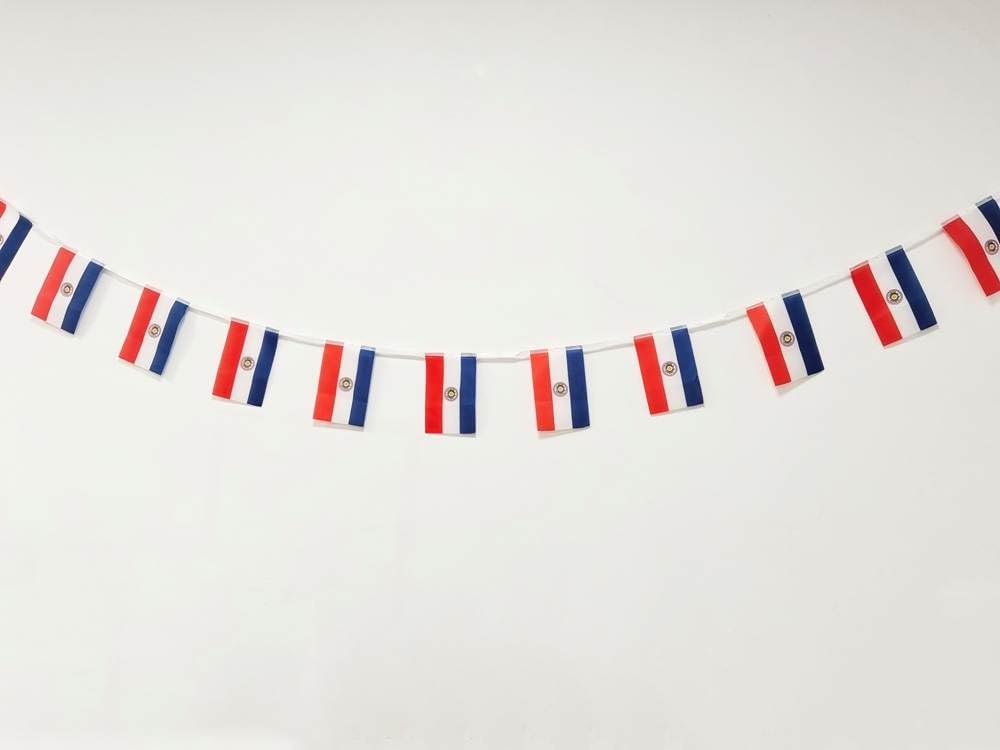 Flag of Paraguay – 40 Pieces, 11.4 M, National Bunting 14 x 21 cm