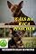 Livro Cães Da Raça Pinscher