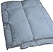 Dust Mite- and Allergen-Proof Comforter; “DreamFill / Premium Microfiber” (Queen; Blue/Gray)