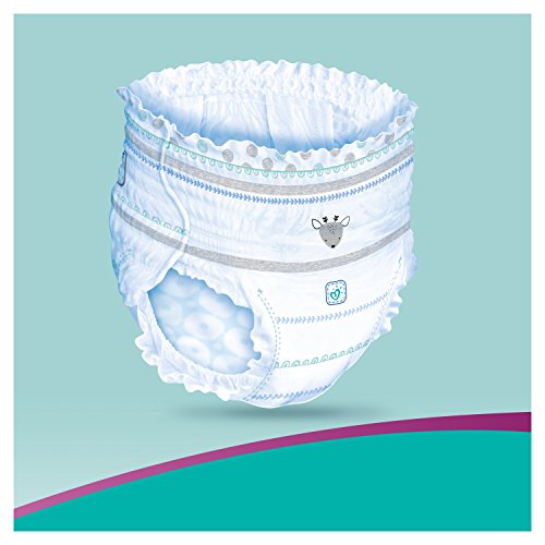Pampers Active Fit Nappy Pants Size 4, 60 Nappy Pants, 915 kg Buy