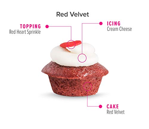 Baked by Melissa Valentine's Day Cupcakes - February Fix Collection - Assorted Bite-Size Valentine's Day Cupcakes (25 Cupcakes + Valentine's Day Gift Box)