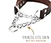 Mighty Paw Leather Training Collar, Martingale Collar, Stainless Steel Chain – Premium Quality Limited Chain Cinch Collar. (Large, Brown)thumb 2