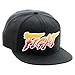 Bioworld Street Fighter V Fight Snapback Baseball Cap