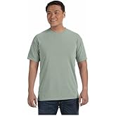 Comfort Colors Short Sleeve, T-Shirt Style(1717)