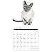 Siamese Cats 2018 Calendar