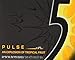 Kosher Five Pulse Sugar Free Gum (10 Pack)