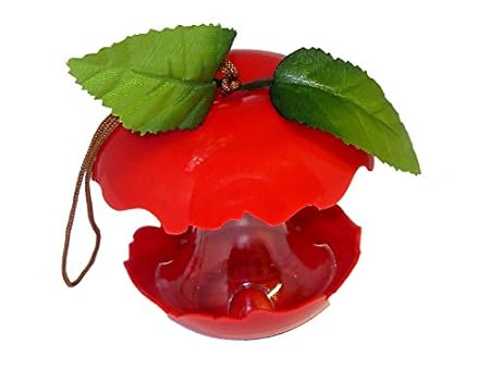 Green Jem Red Apple Fruit Shaped Wild Bird Feeder Amazon Co Uk