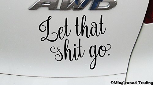LET THAT SHIT GO 6" x 4.5" Vinyl Decal Sticker - Move On! Motivation - - BRIGHT PINK