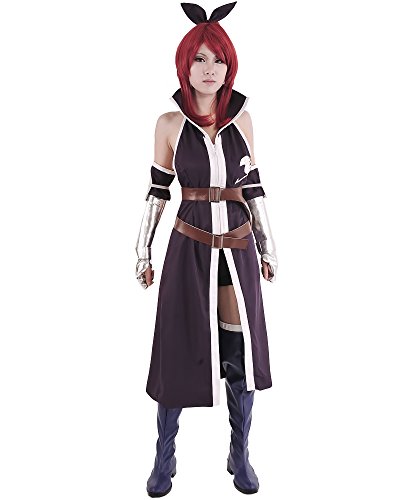 Miccostumes Women's Fairy Tail Erza Scarlet Purple Cosplay Costume (Women S, Purple)