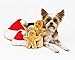 Midlee Christmas Sugar Cookie Plush Dog Toy (Gingerbread Man, Large)
