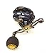 Daiwa LEXA-HD300XS-P Lexa Type-HD Baitcasting Reel, 300 Hyper Speed, 8.1: Gear Ratio, 6CRBB, 1RB Bearings. 22 Max Drag, RH