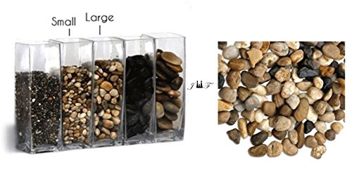 2 Pounds River Rock Stones - Natural Polished, Pebbles, Outdoor Decorative Stones, Natural Gravel, For Aquariums, Landscaping, Vase Fillers, Succulent, Tillandsia, Cactus pot, Terrarium Plants