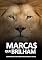 Livro MARCAS QUE BRILHAM: Criando uma identidade de marca eficaz