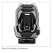 RECARO Roadster Convertible Carseat, Knight, 5-65 Pounds