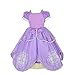 Princess Sofia Party Costume Dress Up Set (4-5)