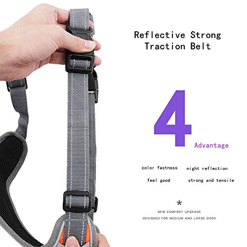 Dog Harness with Leash, Adjustable with Reflective Strips for Medium Large Dogs - Image 6